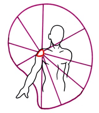 circumduction epaule