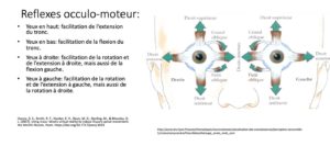 Réflexes oculomoteurs swing golf impact