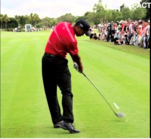 vidéo tiger woods impact golf, vision